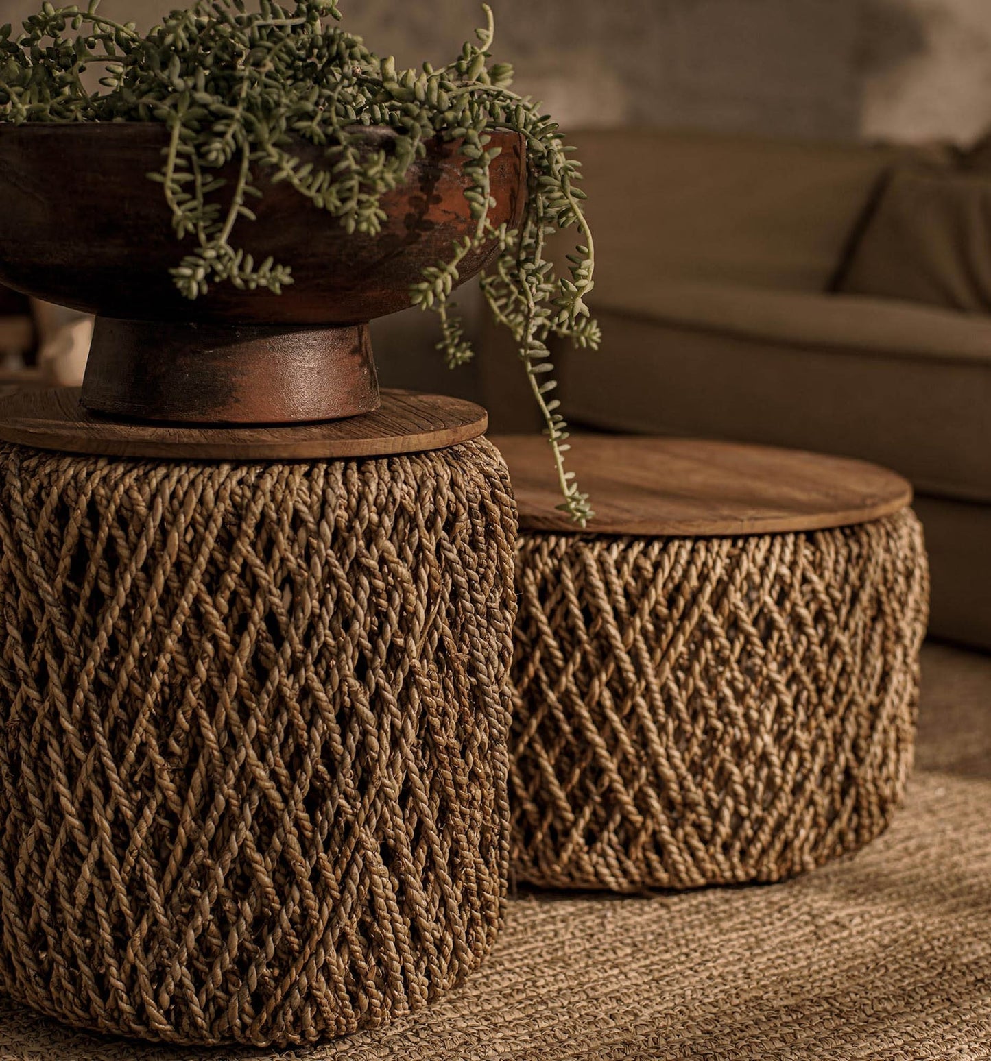 D-Bodhi Knut Side Table / Stool - 2 Sizes