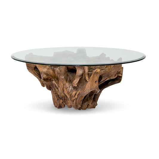 Natura Teak Root Coffee Table - with 8mm Thick Tempered Glass Top