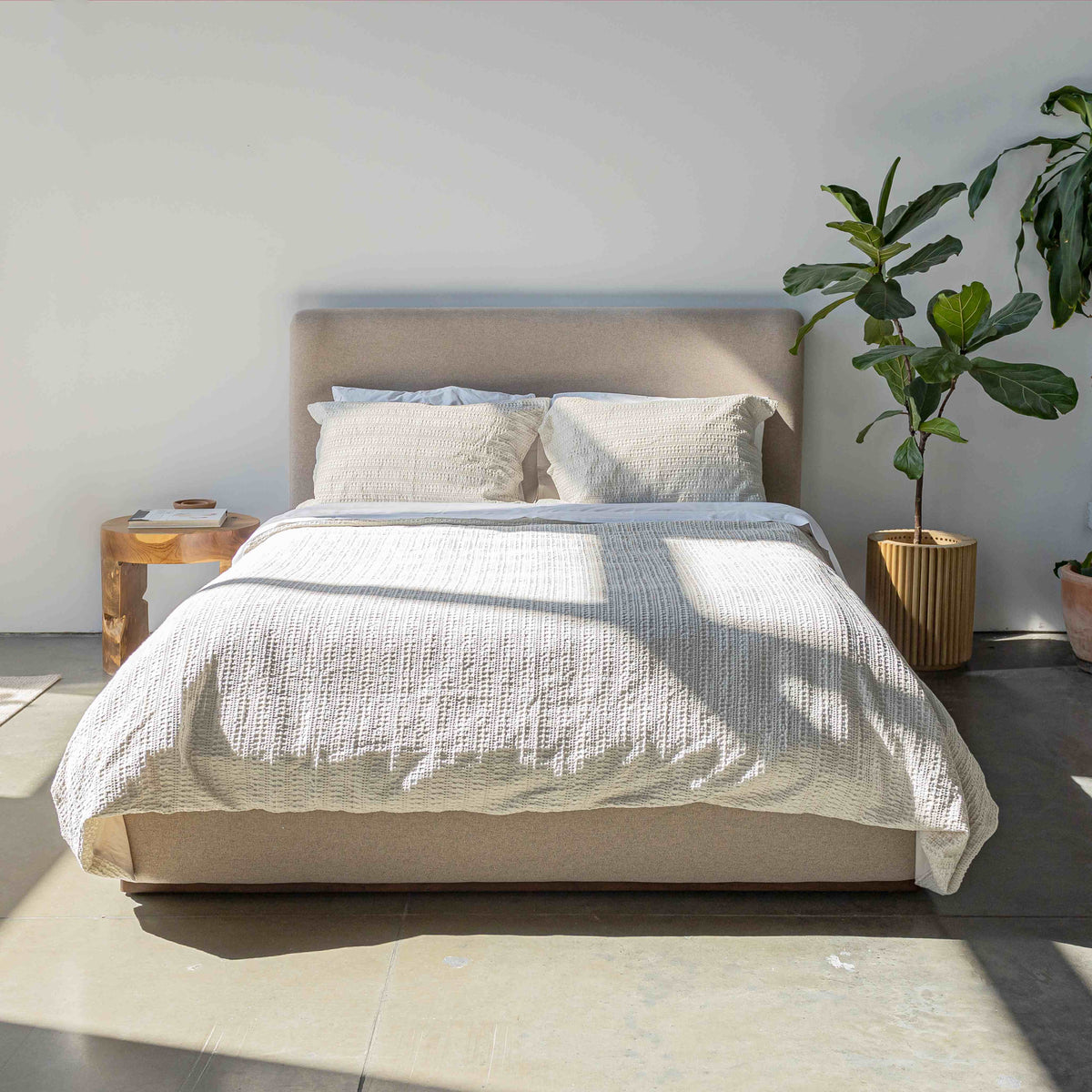 Filly Queen Upholstered Bed - Tan