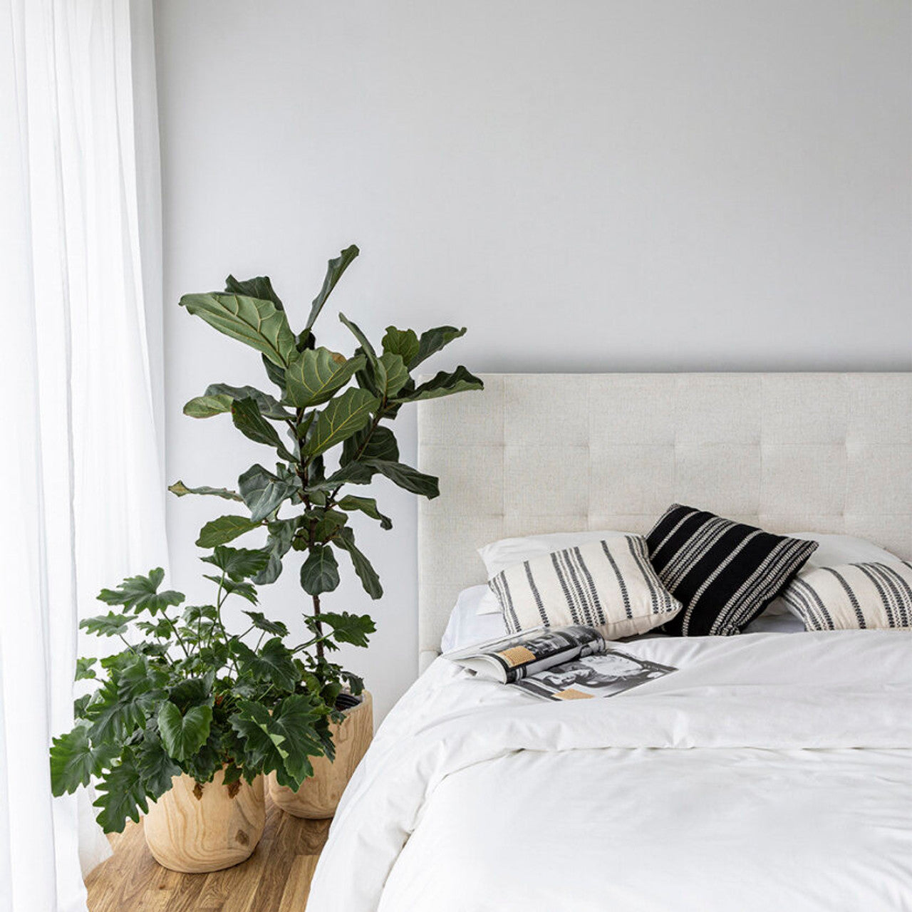June Upholstered Beds - Cream - With or Without Storage