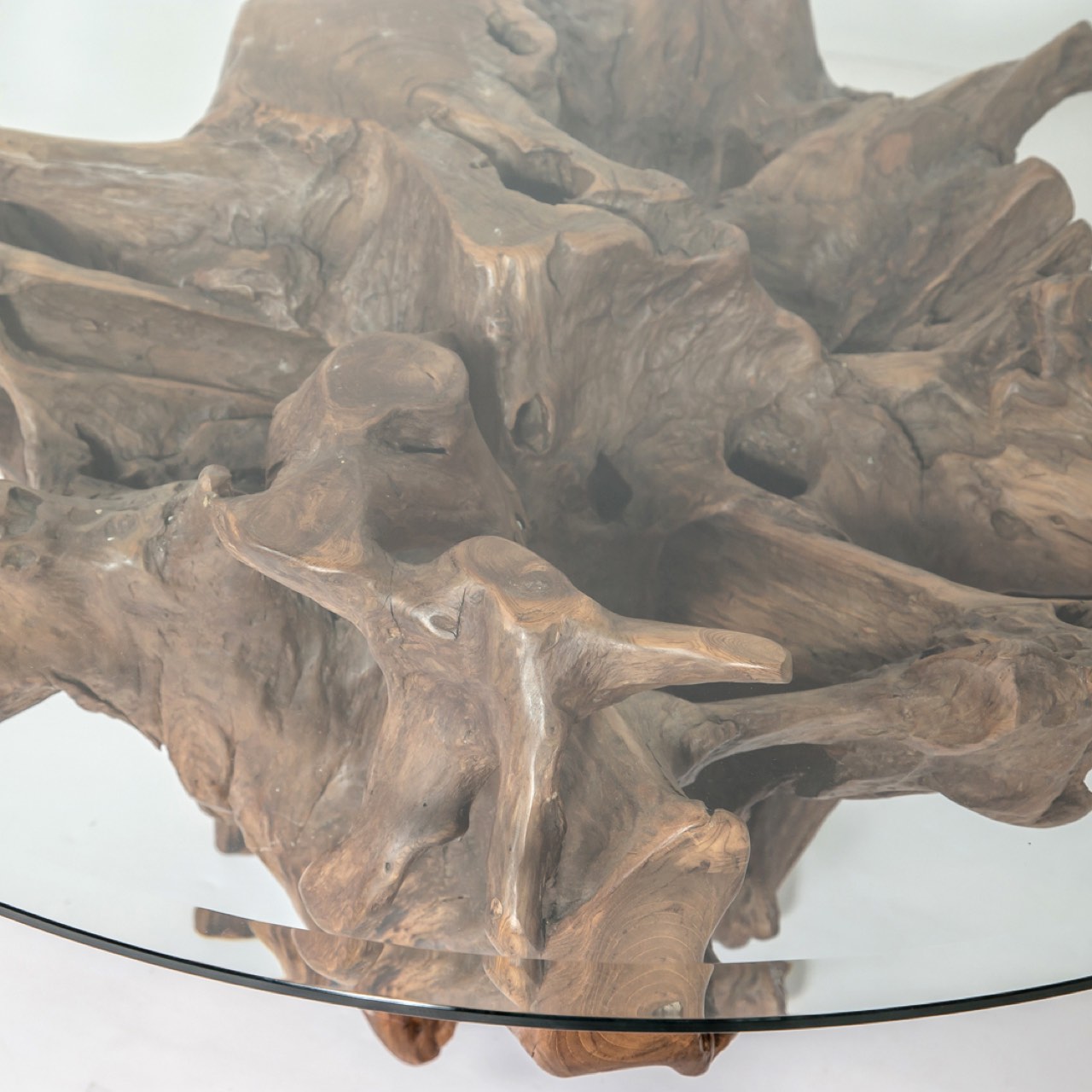 Natura Teak Root Coffee Table - with 8mm Thick Tempered Glass Top