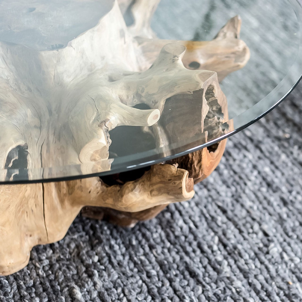 Natura Teak Root Coffee Table - with 8mm Thick Tempered Glass Top