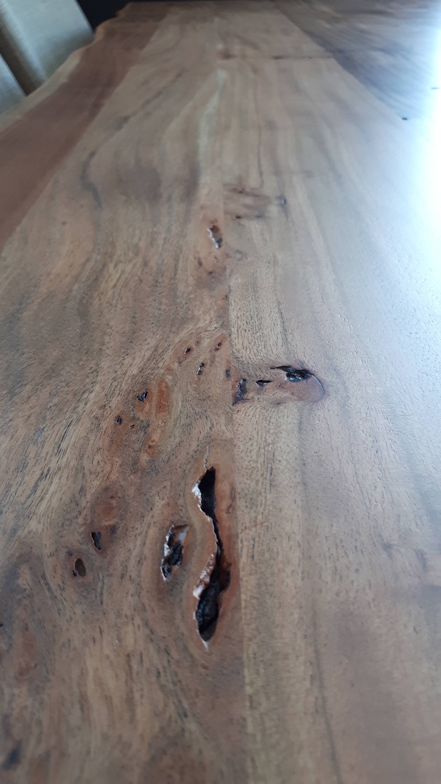 Calcutta Live Edge Benches - U Base - 3 Sizes - 55mm Thick Tops