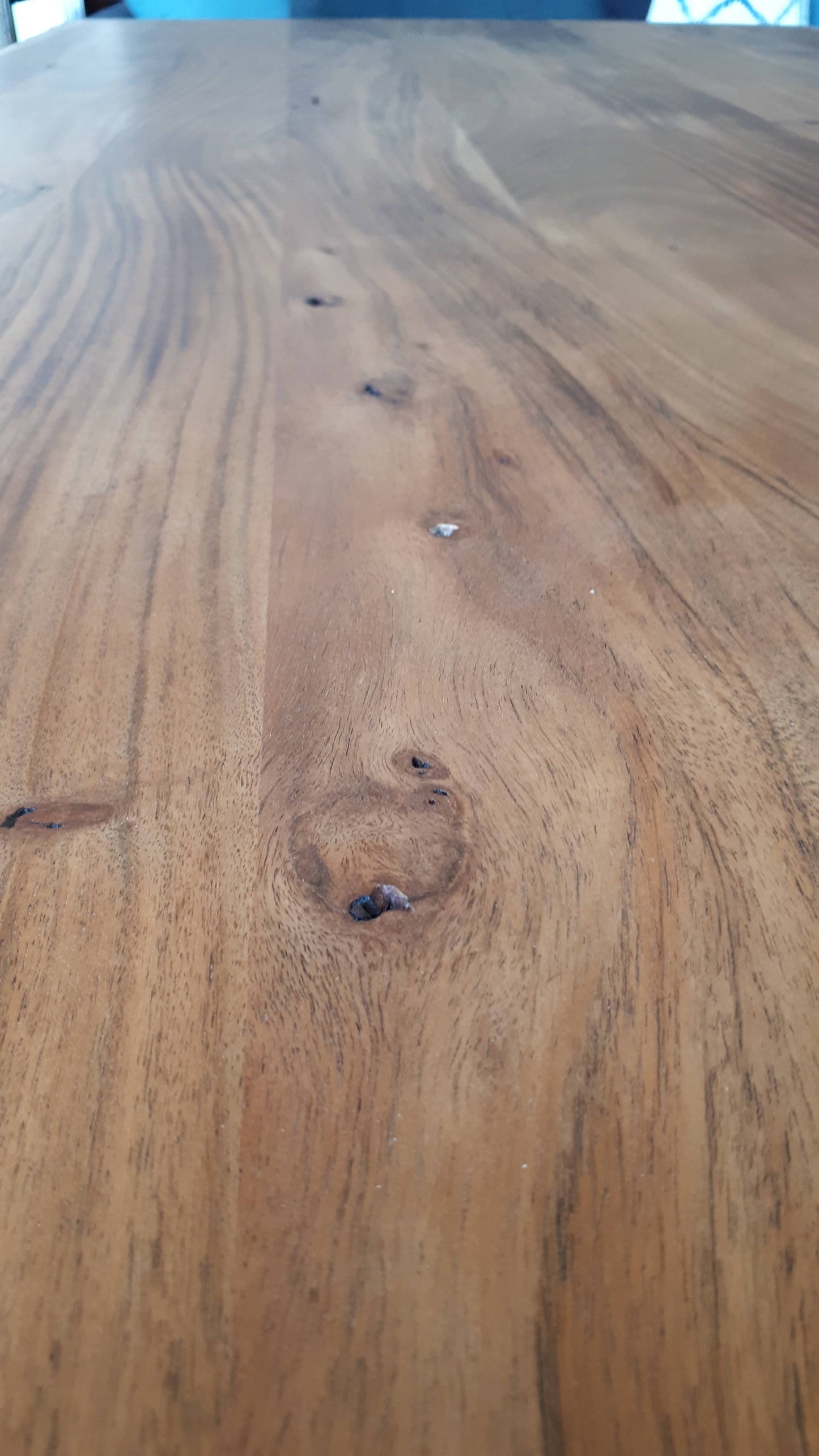 Calcutta Live Edge Benches - U Base - 3 Sizes - 55mm Thick Tops