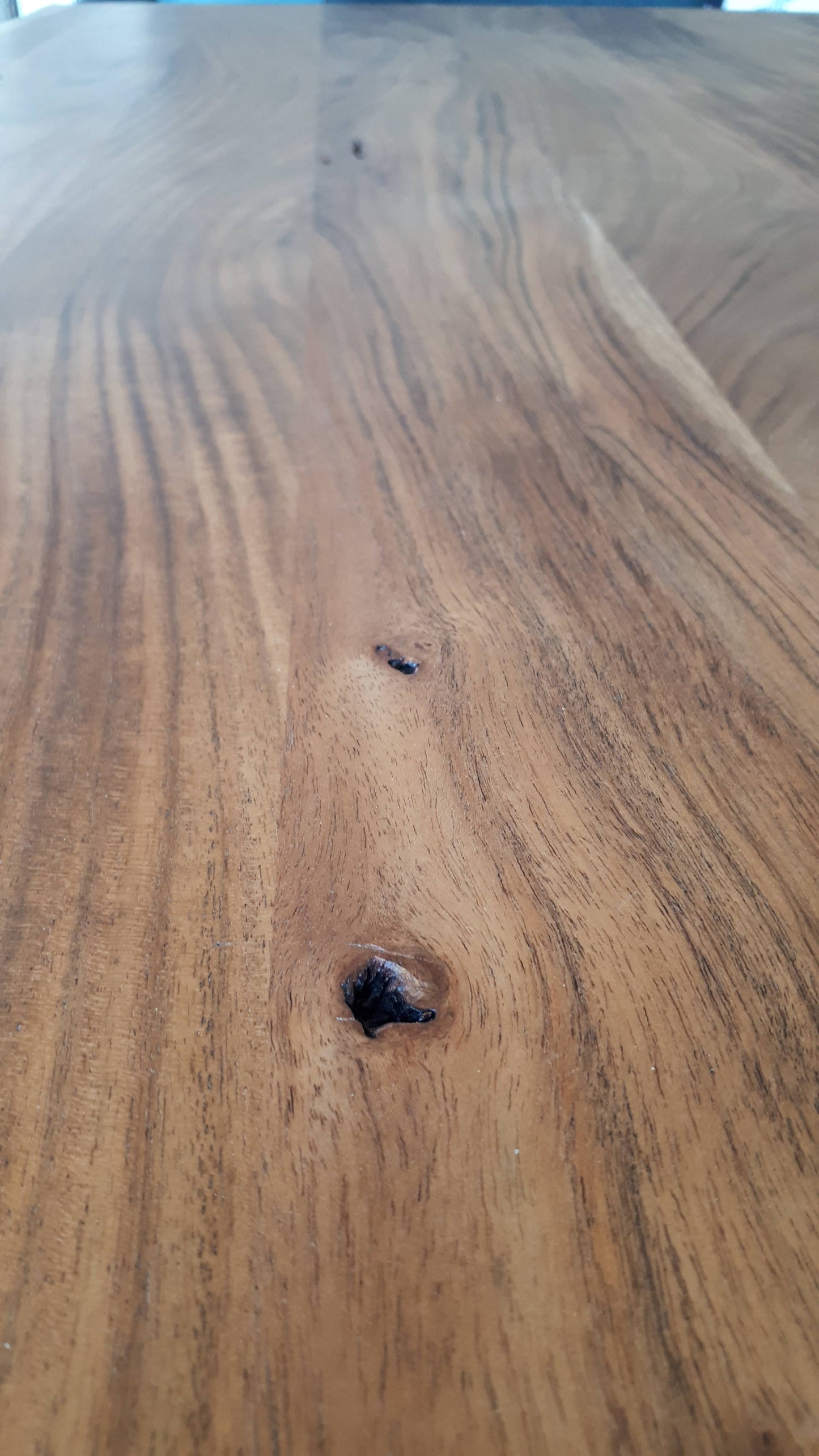 Calcutta Live Edge Benches - U Base - 3 Sizes - 55mm Thick Tops