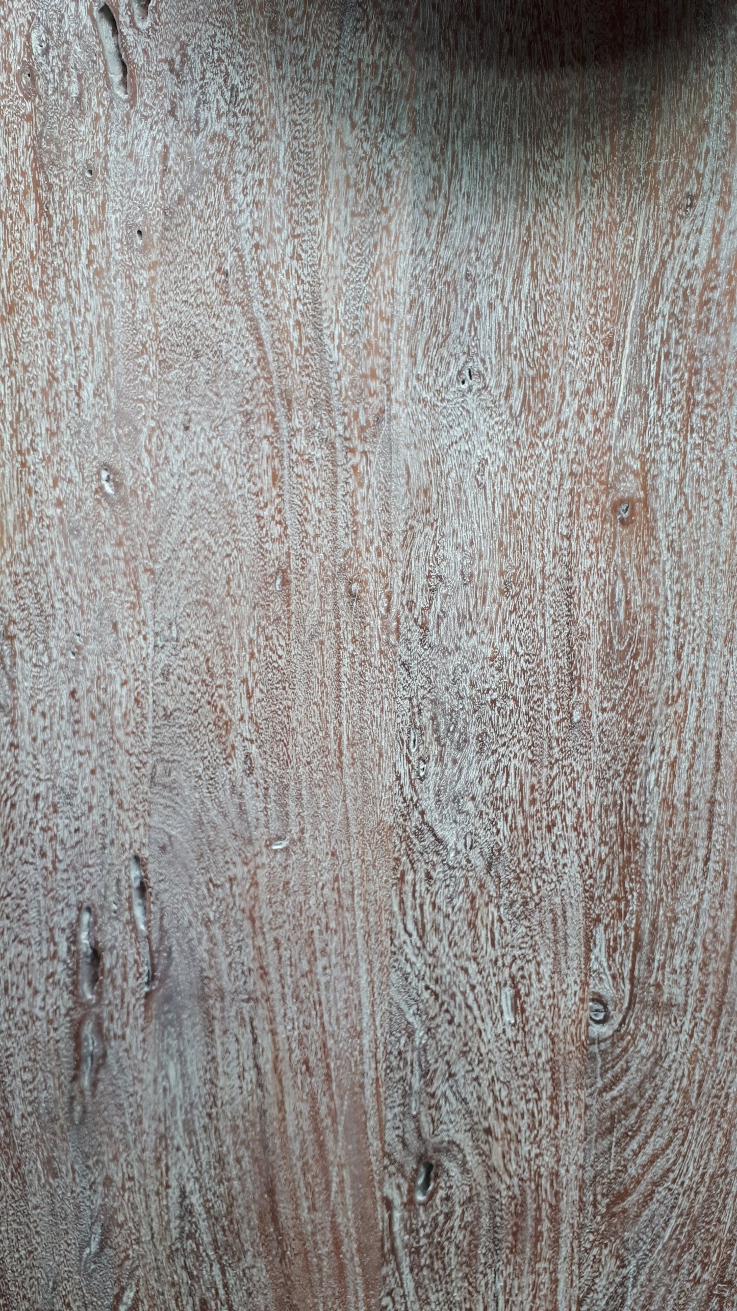 Calcutta Live Edge Dining Table - Whitewash - U Bases - 55mm Tops