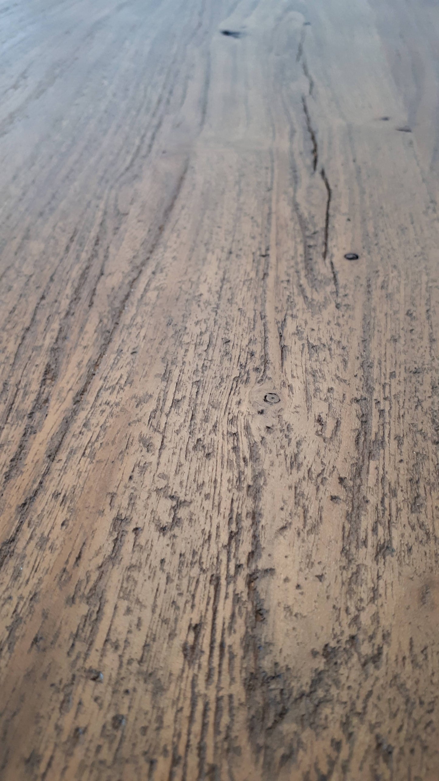 Calcutta Live Edge Benches - U Base - 3 Sizes - 55mm Thick Tops