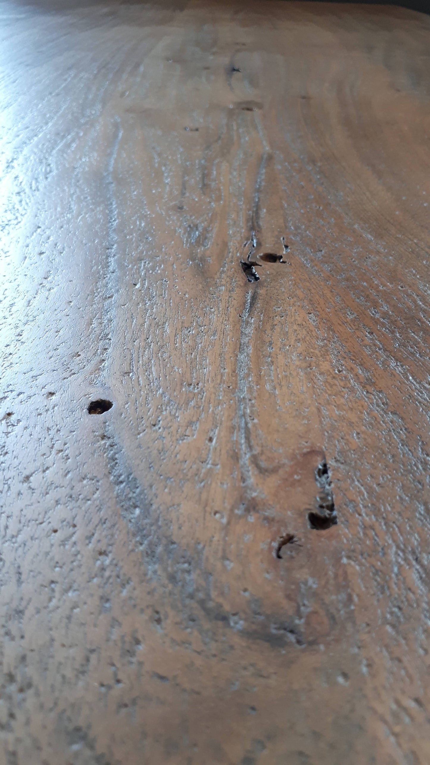 Calcutta Live Edge Benches - U Base - 3 Sizes - 55mm Thick Tops