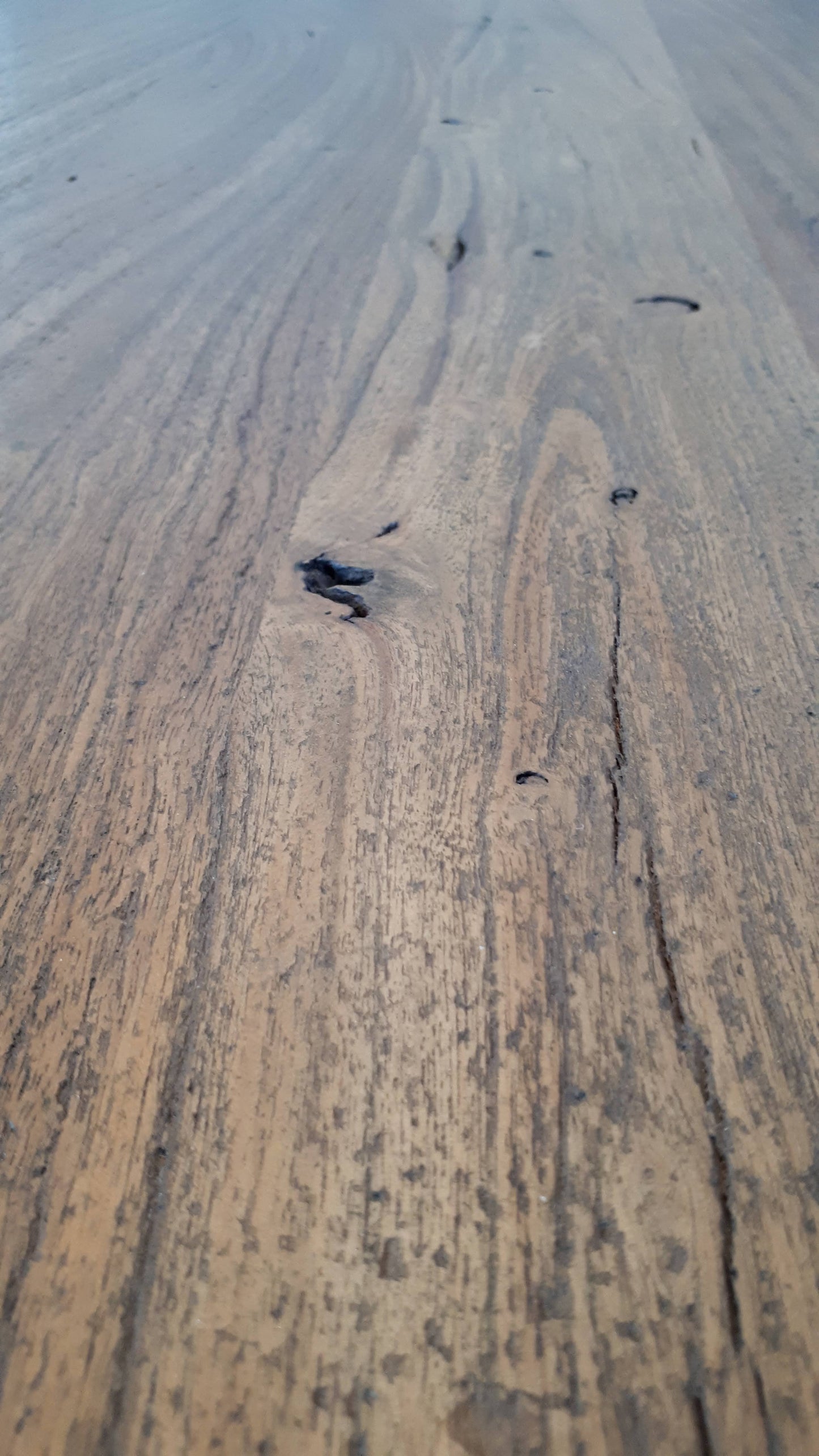 Calcutta Live Edge Benches - U Base - 3 Sizes - 55mm Thick Tops
